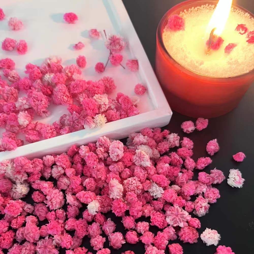 1Box Flower Mix for Crafts Can - Resin Art Earrings Design 리뷰 및 가격