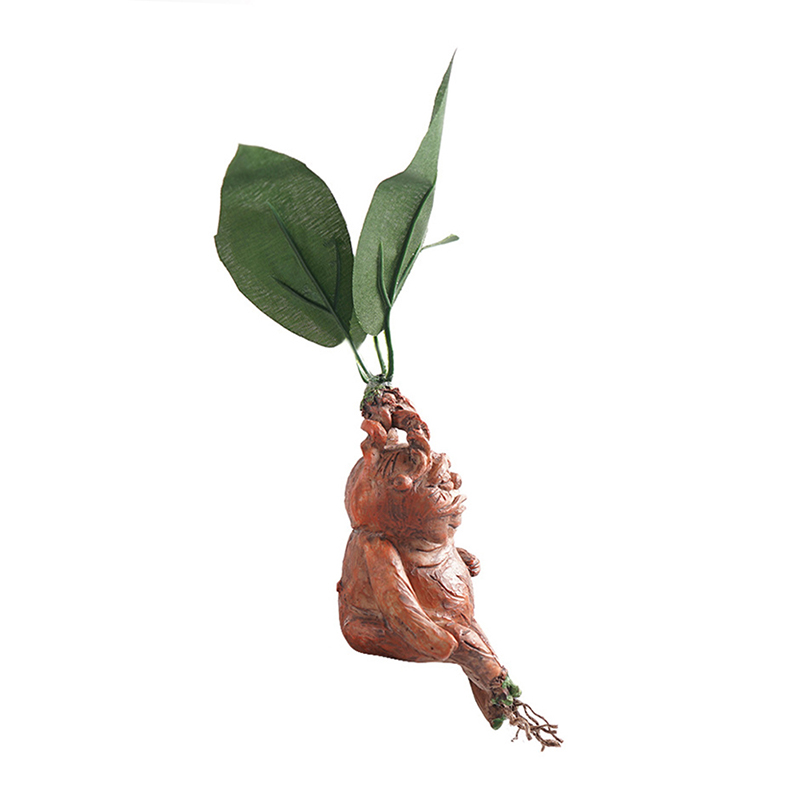 1PCS Mandrake Grass Resin Stat - Resin Art Anniversary Gift 리뷰 및 가격